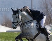 Lever Oreal TosTour2013- S5 2026 : Arezzo, Arezzo Equestrian Centre, Lever Philip, Oreal des Etains Z, Toscana Tour 2013, foto di Stefano Secchi ©