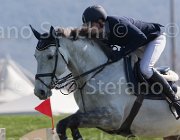 Lever Oreal TosTour2013- S5 2027 : Arezzo, Arezzo Equestrian Centre, Lever Philip, Oreal des Etains Z, Toscana Tour 2013, foto di Stefano Secchi ©