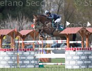 Marioni Anuberth TosTour2013- S5 2436 : Anuberth, Arezzo, Arezzo Equestrian Centre, Marioni Alessia, Toscana Tour 2013, foto di Stefano Secchi ©