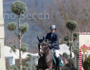 Marioni Casanova TosTour2013- S5 2682 : Arezzo, Arezzo Equestrian Centre, Casanova Z, Marioni Alessia, Toscana Tour 2013, foto di Stefano Secchi ©