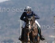 Marioni Casanova TosTour2013- S5 2684 : Arezzo, Arezzo Equestrian Centre, Casanova Z, Marioni Alessia, Toscana Tour 2013, foto di Stefano Secchi ©