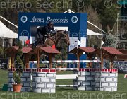 Marziani Capriccio TosTour2013- S5 2341 : Arezzo, Arezzo Equestrian Centre, Capriccio, Marziani Luca, Toscana Tour 2013, foto di Stefano Secchi ©