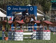 Marziani Capriccio TosTour2013- S5 2342 : Arezzo, Arezzo Equestrian Centre, Capriccio, Marziani Luca, Toscana Tour 2013, foto di Stefano Secchi ©