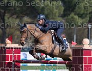Marziani Capriccio TosTour2013- S5 2344 : Arezzo, Arezzo Equestrian Centre, Capriccio, Marziani Luca, Toscana Tour 2013, foto di Stefano Secchi ©