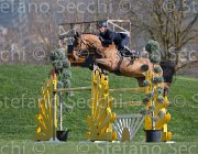 Marziani Nontender TosTour2013- S5 2922 : Arezzo, Arezzo Equestrian Centre, Marziani Luca, Nontender, Toscana Tour 2013, foto di Stefano Secchi ©