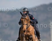 Marziani Nontender TosTour2013- S5 2926 : Arezzo, Arezzo Equestrian Centre, Marziani Luca, Nontender, Toscana Tour 2013, foto di Stefano Secchi ©