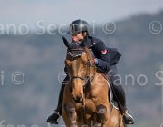 Marziani Nontender TosTour2013- S5 2927 : Arezzo, Arezzo Equestrian Centre, Marziani Luca, Nontender, Toscana Tour 2013, foto di Stefano Secchi ©