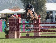 Mesquita Cleofas TosTour2013- S5 2028 : Arezzo, Arezzo Equestrian Centre, Cleofas van Westuur, Mesquita Rodrigo, Toscana Tour 2013, foto di Stefano Secchi ©