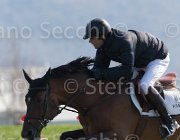 Mesquita Cleofas TosTour2013- S5 2031 : Arezzo, Arezzo Equestrian Centre, Cleofas van Westuur, Mesquita Rodrigo, Toscana Tour 2013, foto di Stefano Secchi ©