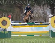 Messersi Quima TosTour2013- S5 1492 : Arezzo, Messersi Andrea, Toscana Tour 2013, foto di Stefano Secchi ©, quima di Villagana
