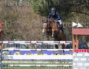 Messersi Rozenn TosTour2013- S5 2445 : Arezzo, Arezzo Equestrian Centre, Messersi Andrea, Rozenn des Loges, Toscana Tour 2013, foto di Stefano Secchi ©