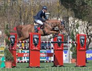Messersi Rozenn TosTour2013- S5 2449 : Arezzo, Arezzo Equestrian Centre, Messersi Andrea, Rozenn des Loges, Toscana Tour 2013, foto di Stefano Secchi ©