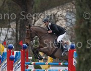 Minos Rolls TosTour 2013- S4 7002 : Arezzo Equestrian Centre, Minos damien, Rolls de Montigny, Toscana Tour 2013, foto di Stefano Secchi ©