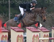 Minos Rolls TosTour 2013- S4 7006 : Arezzo Equestrian Centre, Minos damien, Rolls de Montigny, Toscana Tour 2013, foto di Stefano Secchi ©