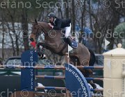 Minos Rolls TosTour 2013- S4 7008 : Arezzo Equestrian Centre, Minos damien, Rolls de Montigny, Toscana Tour 2013, foto di Stefano Secchi ©