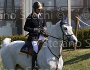 Moyersoen Canada TosTour2013- S5 2456 : Arezzo, Arezzo Equestrian Centre, Canada, Moyersoen Filippo, Toscana Tour 2013, foto di Stefano Secchi ©