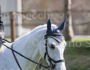 Moyersoen Canada TosTour2013- S5 2458 : Arezzo, Arezzo Equestrian Centre, Canada, Moyersoen Filippo, Toscana Tour 2013, foto di Stefano Secchi ©