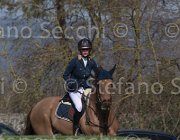 Offel Catan TosTour 2013- S5 3326 : Arezzo Equestrian Centre, Offel Katarina, Toscana Tour 2013, catan, foto di Stefano Secchi ©