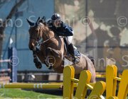 Offel Cathleen TosTour2013- S5 2612 : Arezzo, Arezzo Equestrian Centre, Cathleen, Offel Katarina, Toscana Tour 2013, foto di Stefano Secchi ©