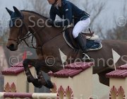 Offel Once TosTour 2013- S4 6902 : Arezzo Equestrian Centre, B Once Z, Offel Katarina, Toscana Tour 2013, foto di Stefano Secchi ©
