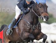 Olgiati Asiy TosTour 2013- S5 7555 : Arezzo Equestrian Centre, Asjy van Berkenbroeck, Olgiati Rossella, Toscana Tour 2013, foto di Stefano Secchi ©