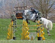 Palmizi Corjulana TosTour2013- S5 2666 : Arezzo, Arezzo Equestrian Centre, Corjulana, Palmizi Gianluca, Toscana Tour 2013, foto di Stefano Secchi ©
