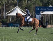 Panini Goto TosTour2013- S5 1982 : Arezzo, Arezzo Equestrian Centre, Goto del Terriccio, Panini Gianmarco, Toscana Tour 2013, foto di Stefano Secchi ©