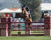 Panini Goto TosTour2013- S5 1983 : Arezzo, Arezzo Equestrian Centre, Goto del Terriccio, Panini Gianmarco, Toscana Tour 2013, foto di Stefano Secchi ©