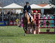 Panini Goto TosTour2013- S5 1985 : Arezzo, Arezzo Equestrian Centre, Goto del Terriccio, Panini Gianmarco, Toscana Tour 2013, foto di Stefano Secchi ©