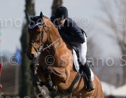 Panini Goto TosTour2013- S5 1986 : Arezzo, Arezzo Equestrian Centre, Goto del Terriccio, Panini Gianmarco, Toscana Tour 2013, foto di Stefano Secchi ©