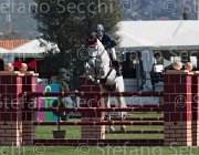 Pappalettera Centofiori TosTour2013- S5 2086 : Arezzo, Arezzo Equestrian Centre, Centofiori dei Dioscuri, Pappalettera Sabino, Toscana Tour 2013, foto di Stefano Secchi ©
