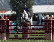 Pappalettera Centofiori TosTour2013- S5 2087 : Arezzo, Arezzo Equestrian Centre, Centofiori dei Dioscuri, Pappalettera Sabino, Toscana Tour 2013, foto di Stefano Secchi ©