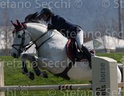 Pappalettera Centofiori TosTour2013- S5 2090 : Arezzo, Arezzo Equestrian Centre, Centofiori dei Dioscuri, Pappalettera Sabino, Toscana Tour 2013, foto di Stefano Secchi ©