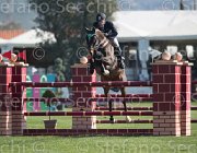 Passy Elliot TosTour2013- S5 1969 : Arezzo, Arezzo Equestrian Centre, Passy Wiiliam James, Toscana Tour 2013, Yirrkala Elliot, foto di Stefano Secchi ©