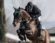 Passy Elliot TosTour2013- S5 1972 : Arezzo, Arezzo Equestrian Centre, Passy Wiiliam James, Toscana Tour 2013, Yirrkala Elliot, foto di Stefano Secchi ©