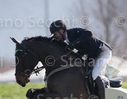 Passy Elliot TosTour2013- S5 1973 : Arezzo, Arezzo Equestrian Centre, Passy Wiiliam James, Toscana Tour 2013, Yirrkala Elliot, foto di Stefano Secchi ©