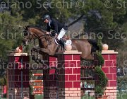 Petris Liquido TosTour2013- S5 2232 : Arezzo, Arezzo Equestrian Centre, Liquido, Petris Antonis, Toscana Tour 2013, foto di Stefano Secchi ©