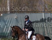 Petris Liquido TosTour2013- S5 2235 : Arezzo, Arezzo Equestrian Centre, Liquido, Petris Antonis, Toscana Tour 2013, foto di Stefano Secchi ©