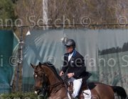 Petris Liquido TosTour2013- S5 2236 : Arezzo, Arezzo Equestrian Centre, Liquido, Petris Antonis, Toscana Tour 2013, foto di Stefano Secchi ©