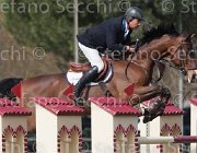 Petris Liquido TosTour 2013- S4 6417 : Arezzo Equestrian Centre, Liquido, Petris Antonis, Toscana Tour 2013, foto di Stefano Secchi ©