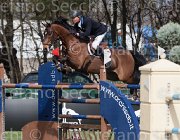 Petris Liquido TosTour 2013- S4 6418 : Arezzo Equestrian Centre, Liquido, Petris Antonis, Toscana Tour 2013, foto di Stefano Secchi ©