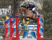 Philipps Vasco TosTour 2013- S4 6696 : Arezzo Equestrian Centre, Philipps Ignace, Toscana Tour 2013, foto di Stefano Secchi ©, vasco