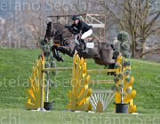 Pinchen Herald TosTour2013- S5 2726 : Arezzo, Arezzo Equestrian Centre, Herald, Pinchen Yazmin, Toscana Tour 2013, foto di Stefano Secchi ©
