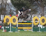 Pinchen Umorkus TosTour2013- S5 1535 : Arezzo, Pinchen Yazmin, Toscana Tour 2013, Umorkus, foto di Stefano Secchi ©