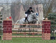 Pisani Adventure TosTour 2013- S4 6857 : Adventure, Arezzo Equestrian Centre, Pisani Riccardo, Toscana Tour 2013, foto di Stefano Secchi ©