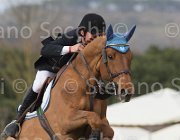 Pisani Chico TosTour 2013- S5 7580 : Arezzo Equestrian Centre, Chico Z, Pisani Riccardo, Toscana Tour 2013, foto di Stefano Secchi ©