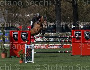 Prandi Goia TosTour2013- S5 2419 : Arezzo, Arezzo Equestrian Centre, Goia del Castegno, Prandi Roberto, Toscana Tour 2013, foto di Stefano Secchi ©