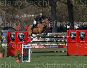 Prandi Goia TosTour2013- S5 2420 : Arezzo, Arezzo Equestrian Centre, Goia del Castegno, Prandi Roberto, Toscana Tour 2013, foto di Stefano Secchi ©