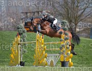 Prandi Laius TosTour2013- S5 2863 : Ala del Castegno, Arezzo, Arezzo Equestrian Centre, Prandi Roberto, Toscana Tour 2013, foto di Stefano Secchi ©