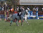 Rangel Cassius TosTour2013- S5 2262 : Arezzo, Arezzo Equestrian Centre, Cassius, Rangel Aurora, Toscana Tour 2013, foto di Stefano Secchi ©